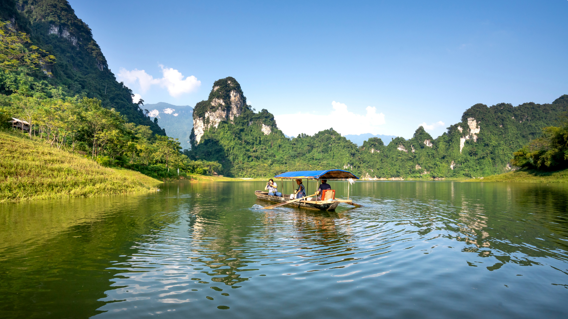 They’ve Never Heard